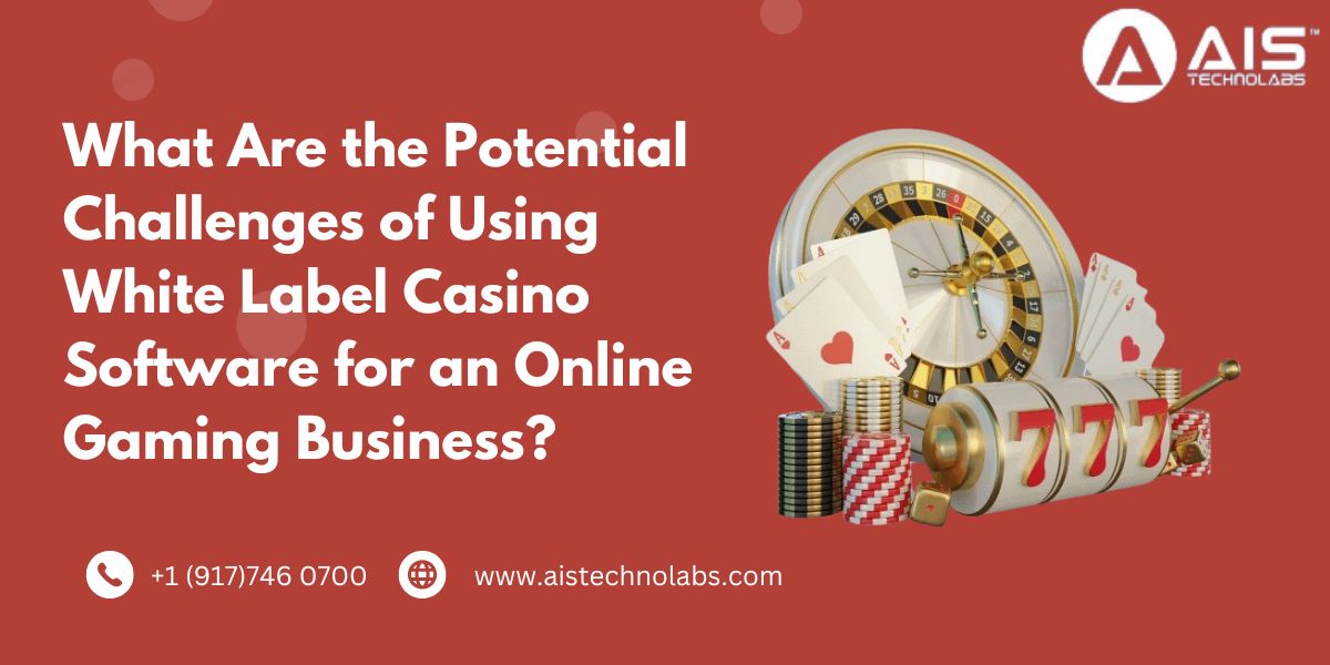 Potential Challenges of Using White Label Casino Software