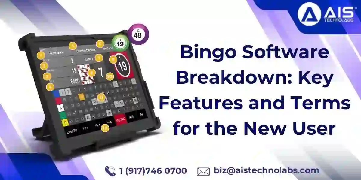 Bingo Software Breakdown: Key Features and Terms for the New User